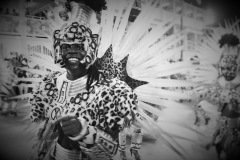 690787_f6cv1oiq1kfelg4qs4b704a68e_490249