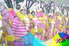 p19bkp552q13vl1a451pc71ns3138341