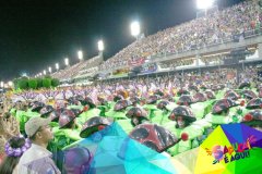 p19bkp552qcnn1kabs011sds1mrl3v