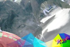 p19bkp552r1qvcjf0ao81oov1uou4c