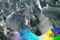 p19bkp552r1rlp8r1jiec8vrq449