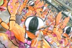 p19bkp552sfd41s4h1dk0c7kqqn4n