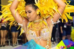 p1hhs893vf1hos16ni1i9rhob1g8a18