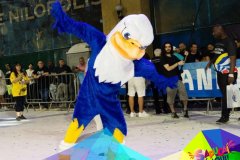 p1hhs893vj115nv8hi310pbs7928