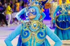 p1hhs893vkuur1d55cv2185s18jp2g