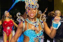 p1hhs893vl199t4go7s41mrr168i2n