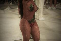 p1goidh9o99bjbkdfgd2lcfeii