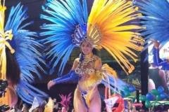 p1hhsa14tp175rutsbid1air170uh