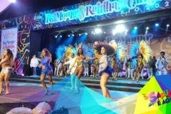 p1hhsa14tp51011db108s10a26n7i