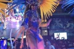 p1hhsa14tplo35vj1jbklbm1r0sg