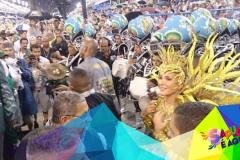 p1a7d4t8rs7161c8jjv81tj681t8