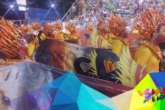 p1a7d4t8s41opm1omf14v215c21skag