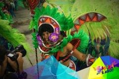 Grupo Especial - Desfiles das escolas de samba 2016