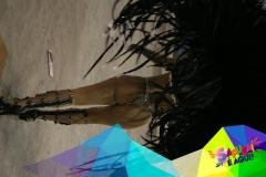 p1c1mbn9171mkf15pg1irm1o4nsdpd