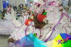 p1c1mbn91anud1jpfba1s6rsmdl