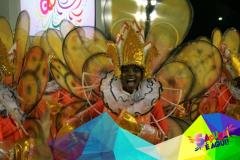 p1c1mbn91j19vihpqddp148imqf19