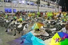 p1c1mbn91n1dsfbo1kt925m1l9s1j