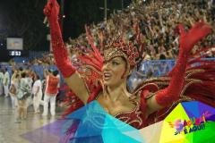 p1c1mbn91p1f0mu2bqvm194s6nf1o