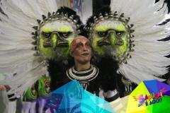 p1c1mbn91q1iq51o557pj1u0nrhv1q