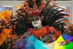 p1c1mbn9211s7o13i71fu1s1iu1h2c