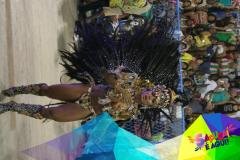 p1c1mbn9241d6s14v81bpi1b7210dp2h