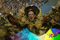 p1d1ucmnpg8fq1049123qbphd6d31