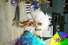 p1d1ucmnpiba010s417u4finja233