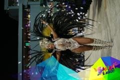 p1d1ucmnpj4079st136g18hl93235