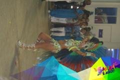 p1dt498khg1scp1igk12u263j151l