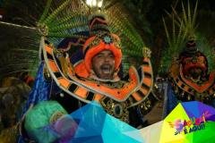 p1dt498khi1vlg1ihr1rta1rdiprf11