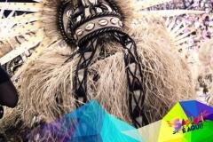 p1glihh35cvp81ulihao1ah5s7dv