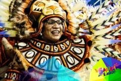 p1glihh35d3if1ba3h9d14fn16m014