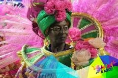 p1glihtt3f1n5n59h738ste1am21