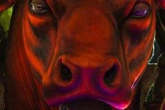 p1gpjc3umvh3b12qo1itncpsgal20