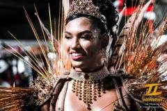 p1gpli6r9m14e219621e2s187vasvt