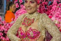 p1gpli6r9n1s1ourf14017ckk0c18