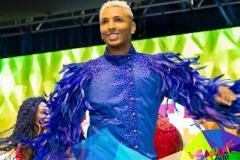 p1hhs87je0rtr136a15c2b2p1ke8b