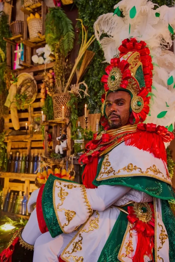 WhatsApp-Image-2025-10-22-at-01.22.59-684x1024 Mangueira divulga protótipos das fantasias de suas alas comerciais para o Carnaval 2026