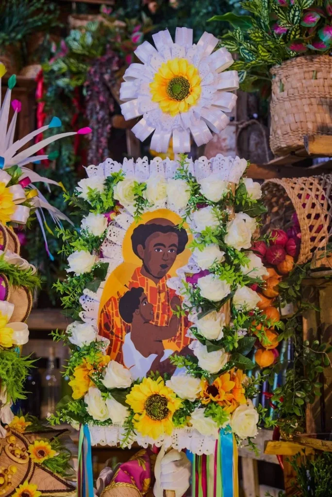 WhatsApp-Image-2025-10-22-at-01.23.01-1-684x1024 Mangueira divulga protótipos das fantasias de suas alas comerciais para o Carnaval 2026